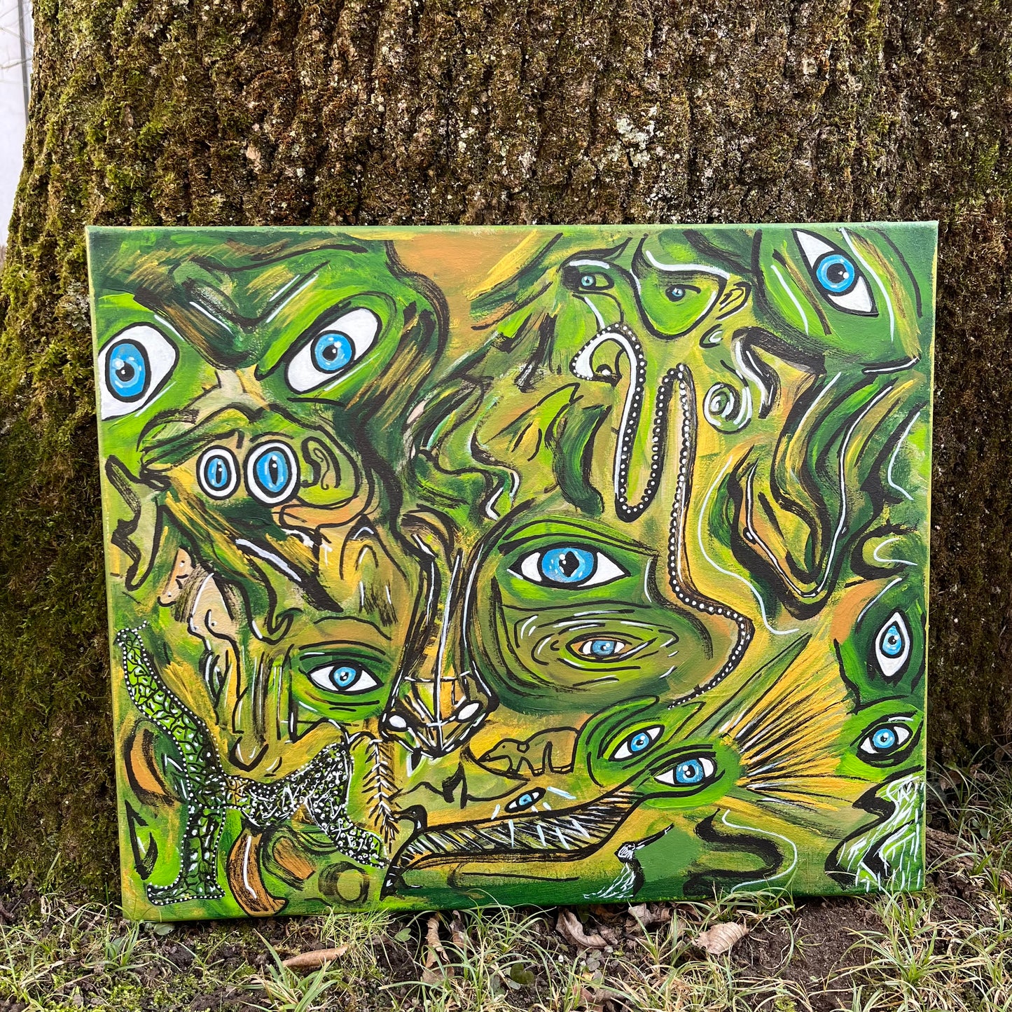 Augen des Universums