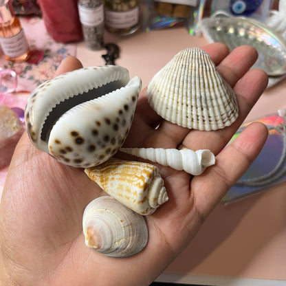Aphrodite’s Altar – Selbstliebe Ritual Kit