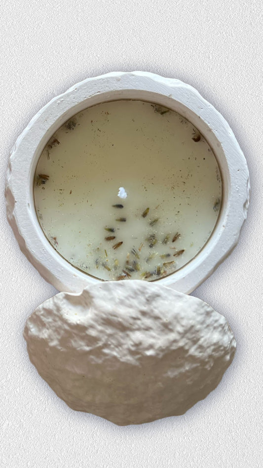 🕯️ Mond des Lavendels